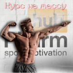 Курс стероидов на массу